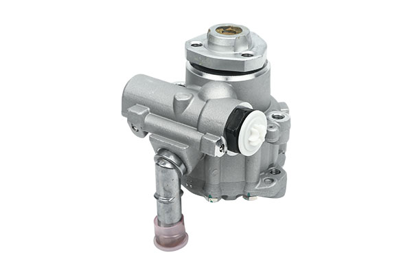 Power Steering Pump For VW Seat Skoda 6X0422154 B13213 Borsehung