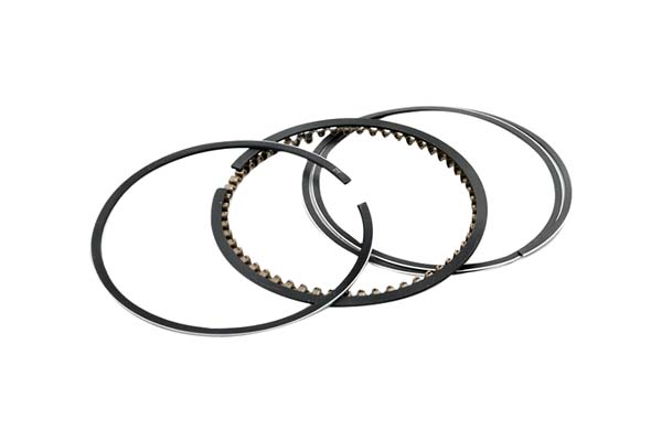 Piston Rings For Mercedes-Benz A2760300224 B10367 Borsehung