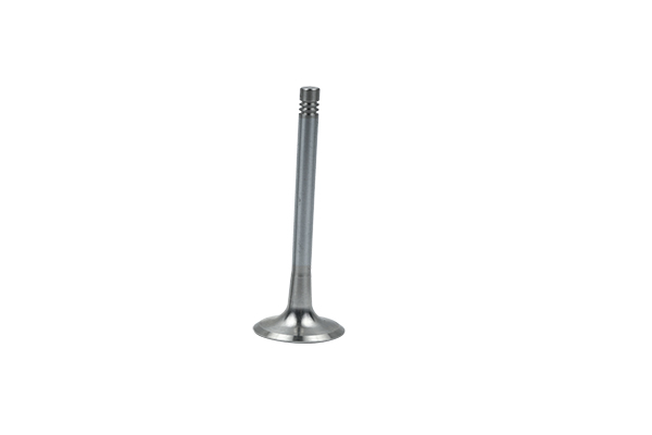 Exhaust Valve For VW Audi Seat Skoda 06D109611L B19008 Borsehung