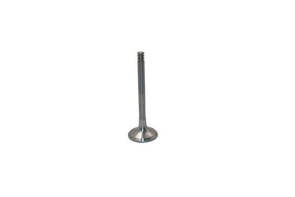 Exhaust Valve For VW Seat Skoda 028109611K B19000 Borsehung