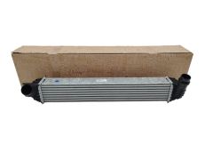 Intercooler Original Renault 144610001N