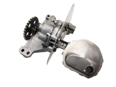 Oil Pump 100166 9431216021 9431217021 Citroen Peugeot 2.1 TD