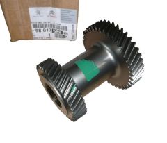Speed Gear New Original 9801758980 Citroen Peugeot