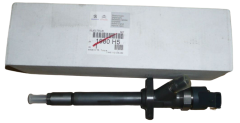Fuel Injection Original Citroen Peugeot C5 407 C8 2.2 HDI 1980H5