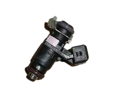 Fuel Injection Original Dacia Duster Logan 2.0  166009398R