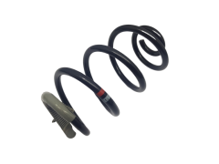 Suspension Spring Rear Clio 3 8200341248 Renault