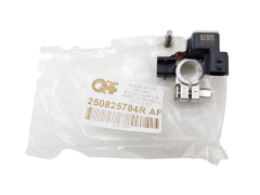 Terminal Clamp Renault Clio 4 Captur 250825784R