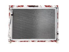 ren8200149953-z