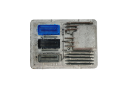 Controller Opel 12679845 811839393 12669908 Delphi GM 