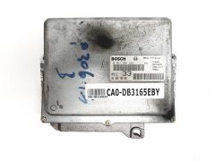 ca0-db3165eby