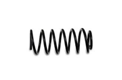 Coil Spring Front 191411105 44111109701 VW Seat Vika