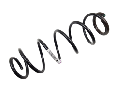 Suspension Spring Rear Original Renault Laguna 3 550200002R