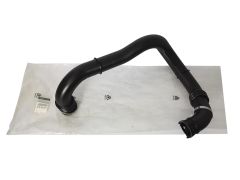 ren8200582483