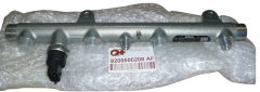 Injection Rail Renault Clio Trafic  Kangoo 1.9 dCi 8200600208