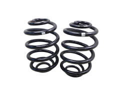 Suspension Spring Assy Rear 7700436850 Renault Clio 2