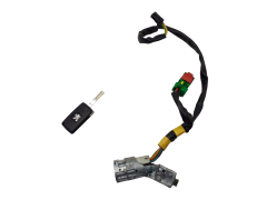 Ignition Switch Peugeot 1007 N0502455 N0501477 4162AH Valeo 1077