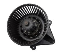 jj5436