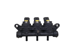 Injection Rail LPG LANDIRENZO 10R-036384 Type ECO EVO 110R-000201