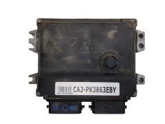 ca2-pk3863eby