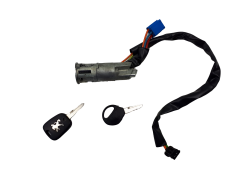 Ignition Switch Peugeot 206+ N0501539 4162Z1 Valeo