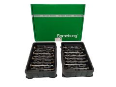 Controller Valve Kit 04E109601A 04E109611K B18632 VW Audi Seat Skoda Borsehung