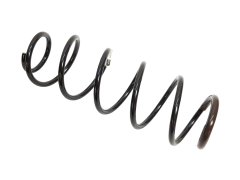 Suspension Spring Original Renault 550200003R