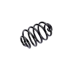 Suspension Spring Rear Renault Clio III Modus 550204217R