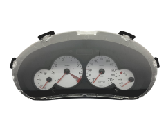 Speedometer/Instrument Cluster Peugeot 206 9656696380 000500610 49366