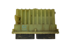 Controller 24410130 ID804027 Opel GM Delphi 15839