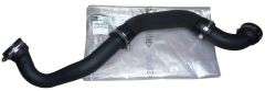 ren8200564559