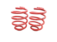 Suspension Spring Assy Rear Renault Clio 2 FKS55HA FK-Automotive
