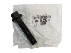 Bolt New Original Citroen Peugeot 9817665180
