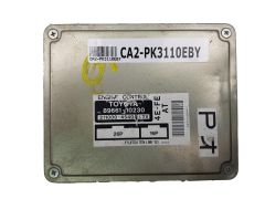 ca2-pk3110eby
