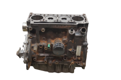 Cylinder Block F9QA734 F9Q734 1.9 DTI Renault Scenic