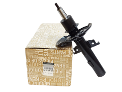 Shock Absorber Original Renault 543025418R