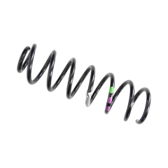 Suspension Spring Rear 550200035R Renault