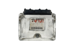 Controller IAW49F.B2 46761567 Fiat Magneti Marelli 41621