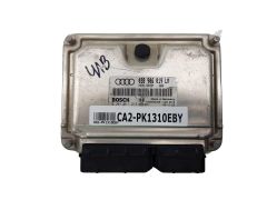 ca2-pk1310eby