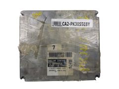 ca2-pk3055eby