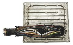 ca52-db13905eby