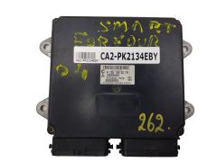 ca2-pk2134eby