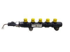 Injection Rail 1570G2 9654592680 9655465480 6PH1001 1.4 1.6 HDI PSA