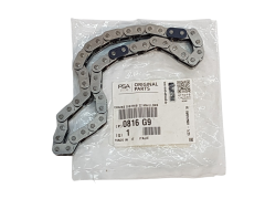 Timing Chain New Original Citroen Peugeot 2.7 HDi 0816G9