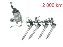 Fuel pump and injectors 0445011500 0445110939 2.0 DCI Renault Bosch 2000km