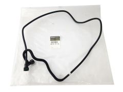 ren8200139172