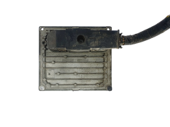 Controller S118107004C 3S61-12A650-CA Ford Siemens 42196