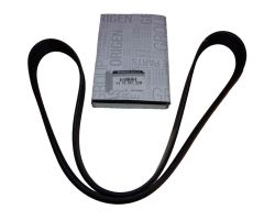 Drive Belt Original Renault 117202122R