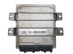 ca2-db1019eby