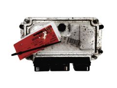 ca14-db9250eby