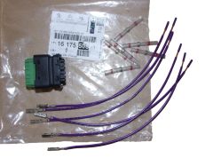 Plug New Original 1617550580 Citroen Peugeot